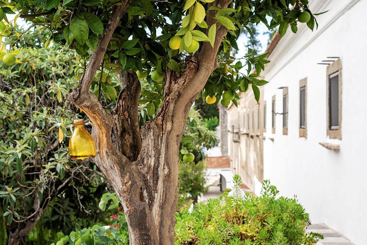 Convento Sao Paulo - Hotel Rural Redondo Dış mekan fotoğraf